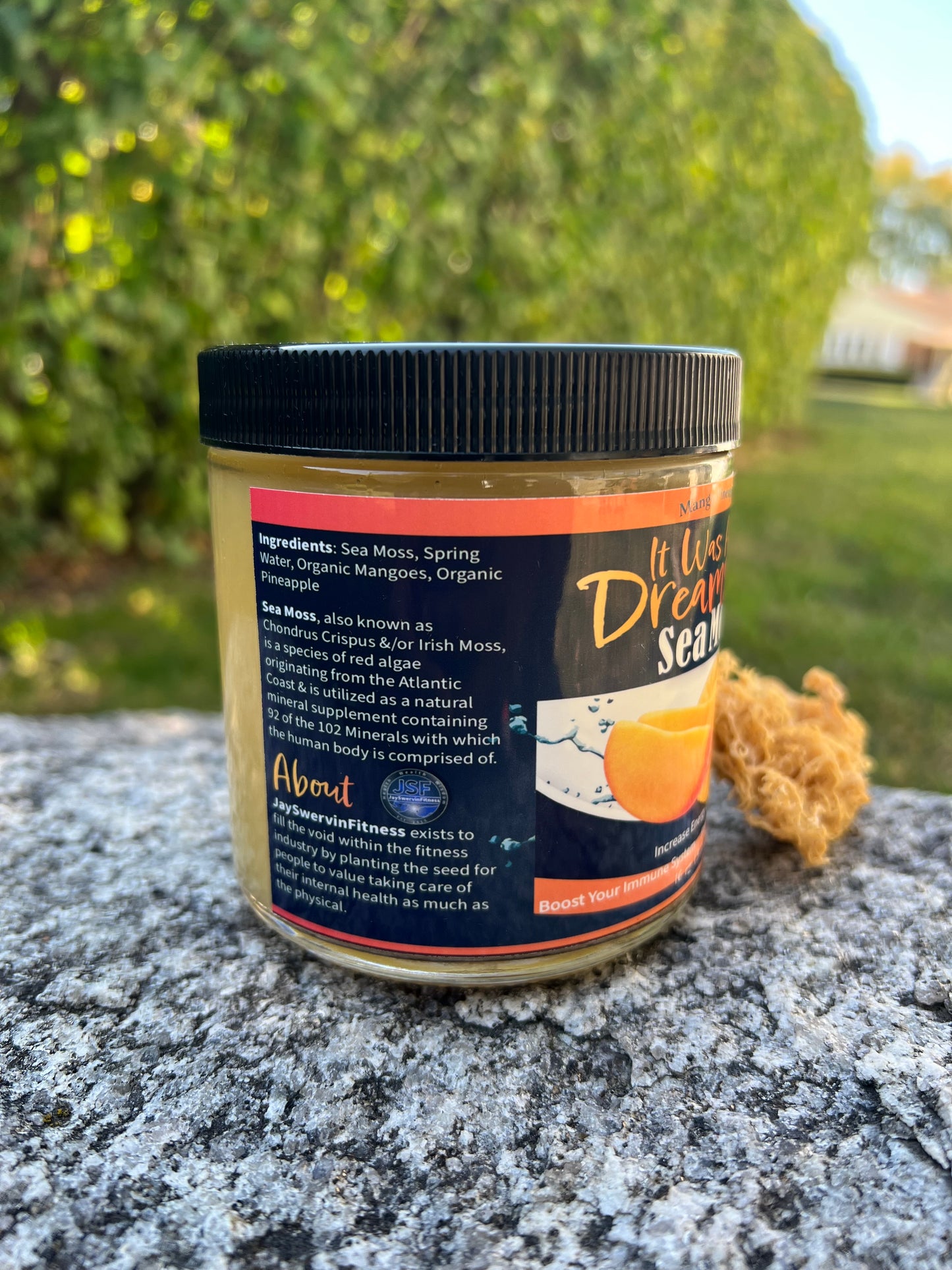 Dreamsicle Sea Moss Gel (Mango Pineapple)