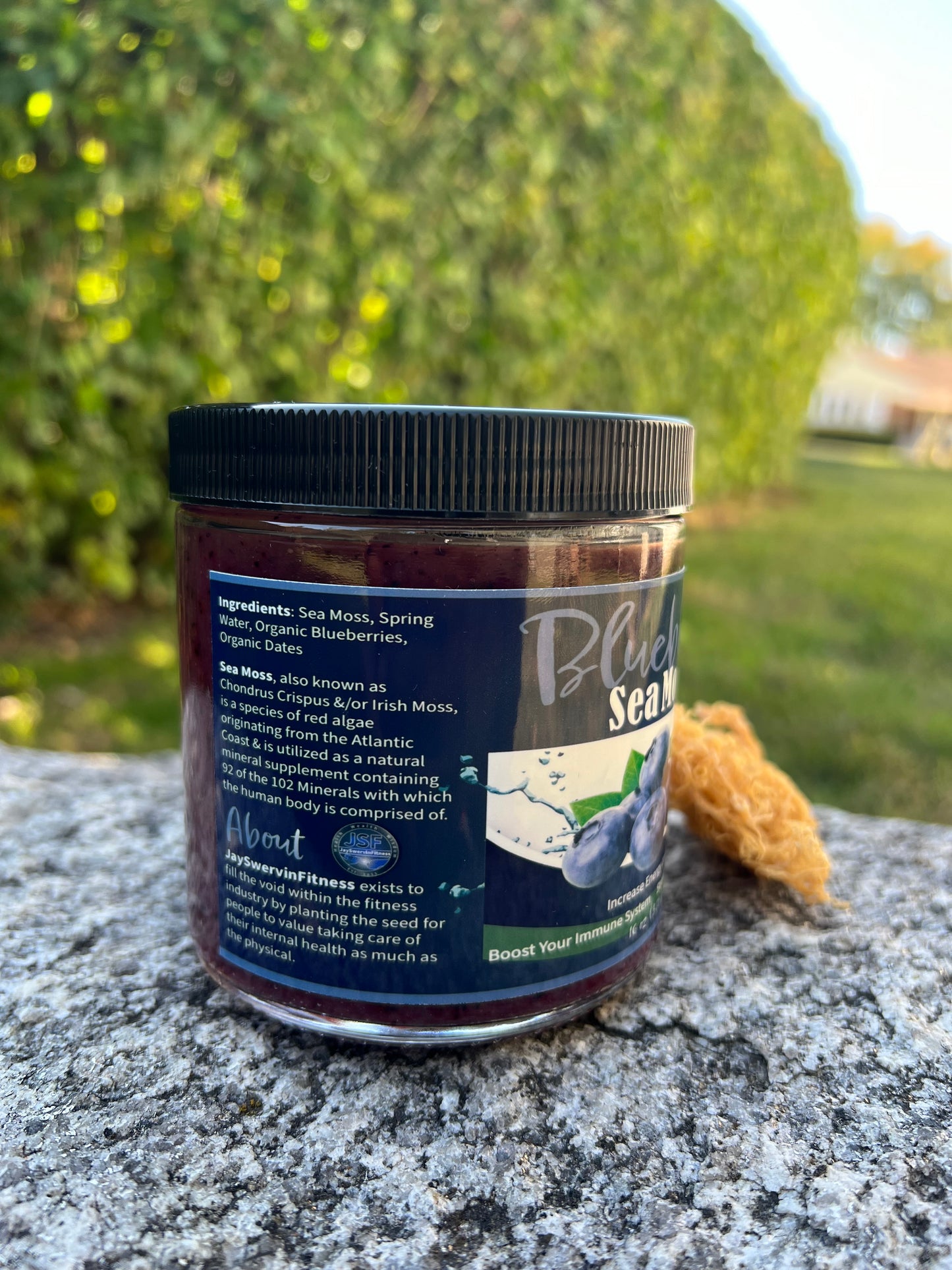 Blueberry Sea Moss Gel
