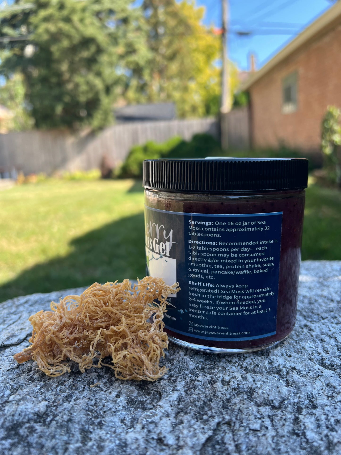 Blueberry Sea Moss Gel