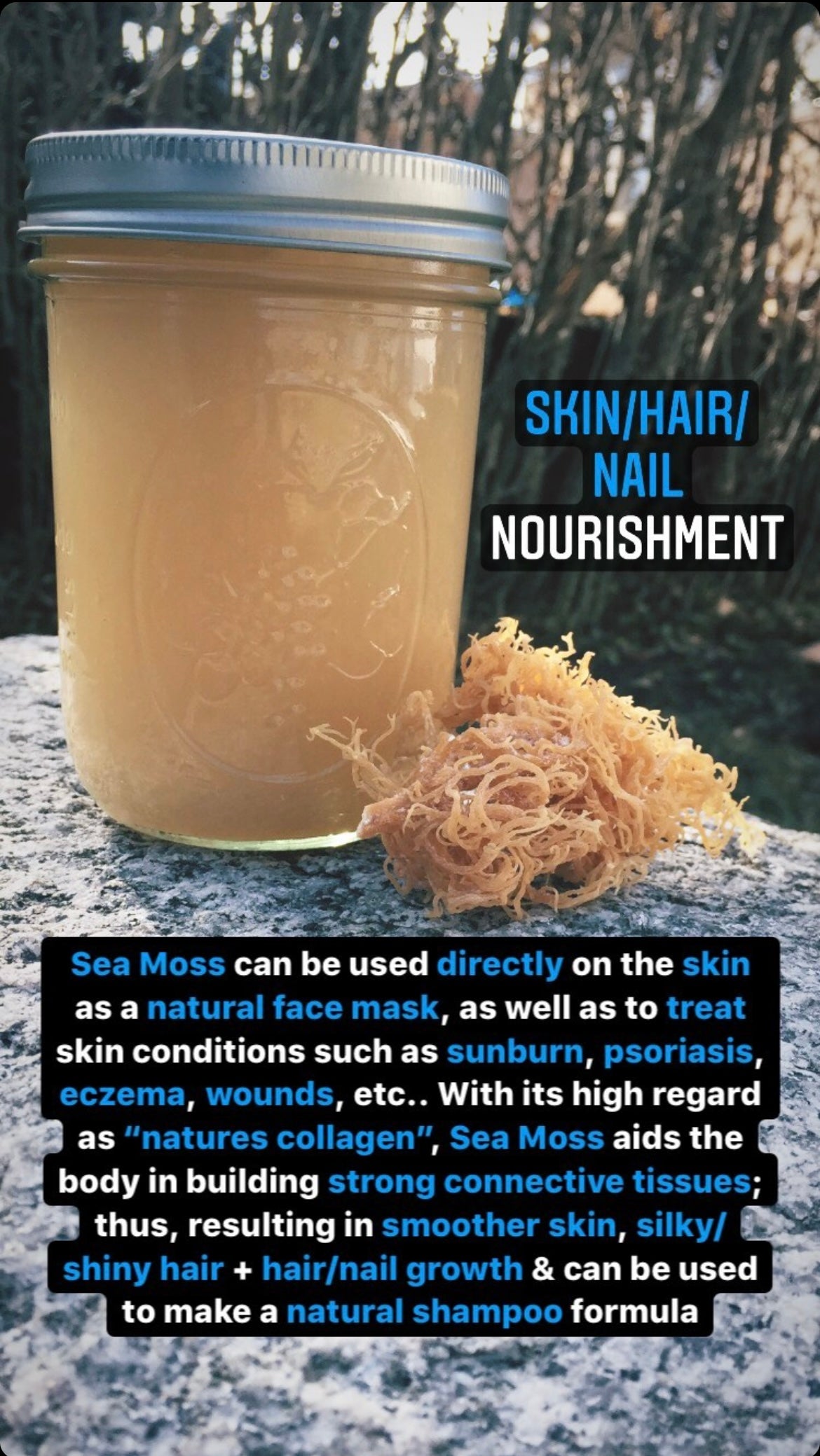 Original Sea Moss Gel