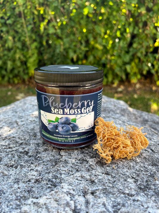 Blueberry Sea Moss Gel