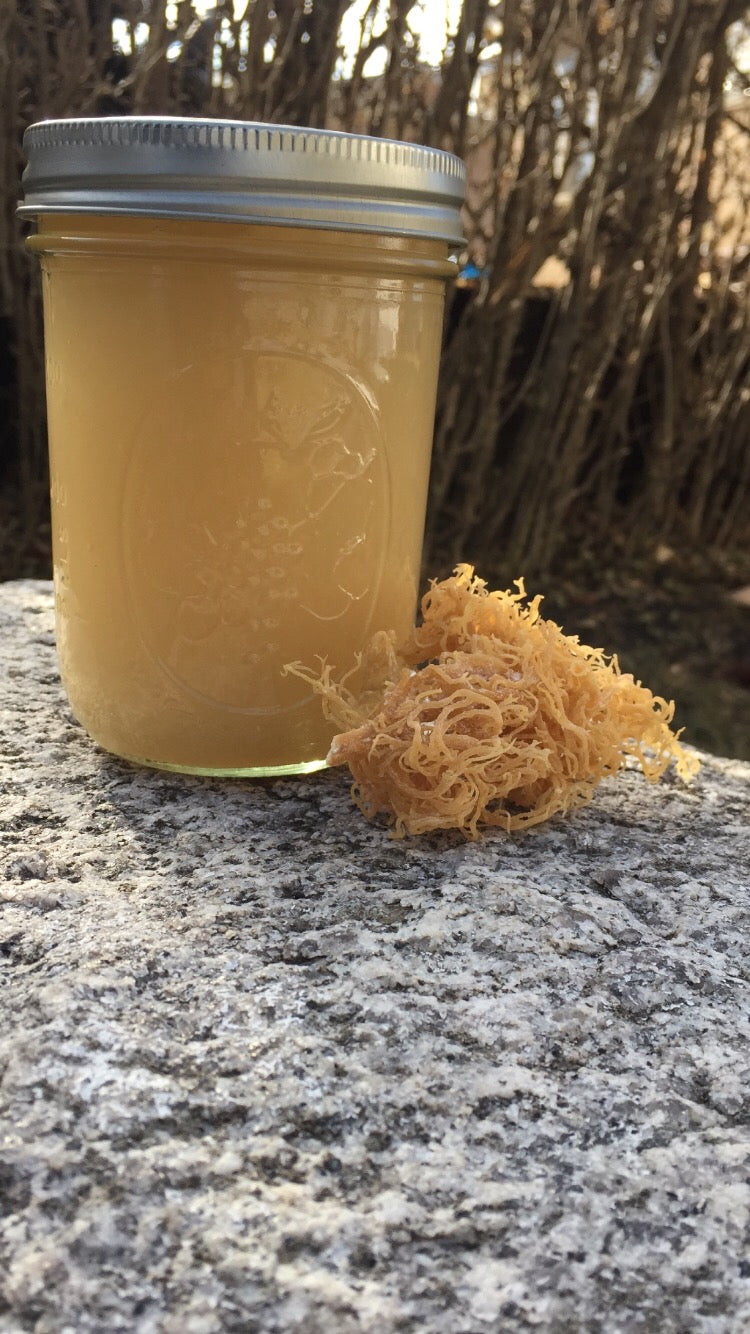 Original Sea Moss